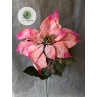 Mikulásvirág rózsaszín 70cm