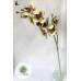 Orchidea 70cm (TÖBB SZÍNBEN!)