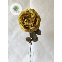Rózsa 66cm