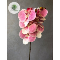 Orchidea 68cm rózsaszín