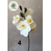 Orchidea 42cm ( TÖBB SZÍNBEN!)