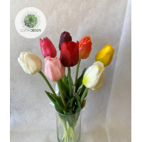 Szálas tulipán 48cm