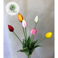 Szálas bimbós tulipán 40cm