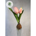 Hagymás tulipán 20cm (TÖBB SZÍNBEN!)