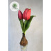 Hagymás tulipán 20cm (TÖBB SZÍNBEN!)
