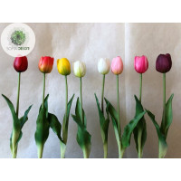 Szálas tulipán 40cm
