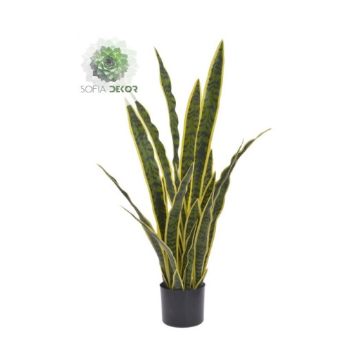 Cserepes sansevieria 90cm