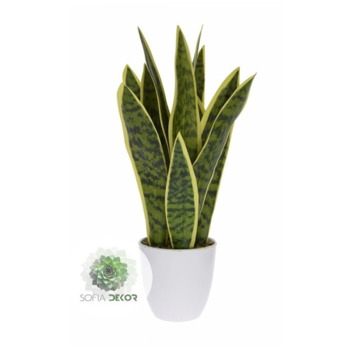 Cserepes sansevieria 18*63cm