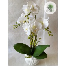 Cserepes orchidea fehér 50cm