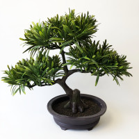 Cserepes bonsai fa 30cm