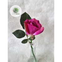Rózsa szálas lila