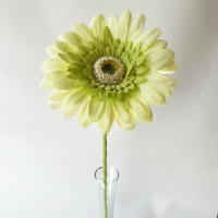 Gerbera 63cm