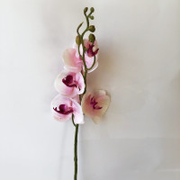 Orchidea szálas 88cm rózsaszín