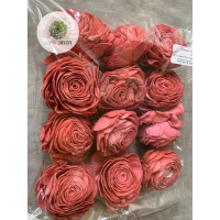 Ming rózsa 8cm púder rózsaszín