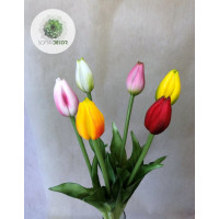 Szálas tulipán 41cm 