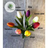 Szálas tulipán 50cm