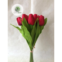 Tulipán kötegelt csokor x9 (TÖBB SZÍNBEN!)