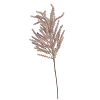 Pampafű 71cm krém-lila