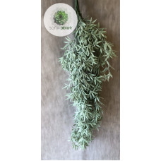 Tillandsia futó hamvas 80cm