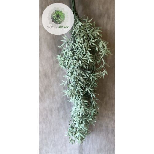 Tillandsia futó hamvas 80cm