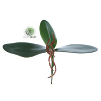 Orchidea levél (3leveles) 23*18cm
